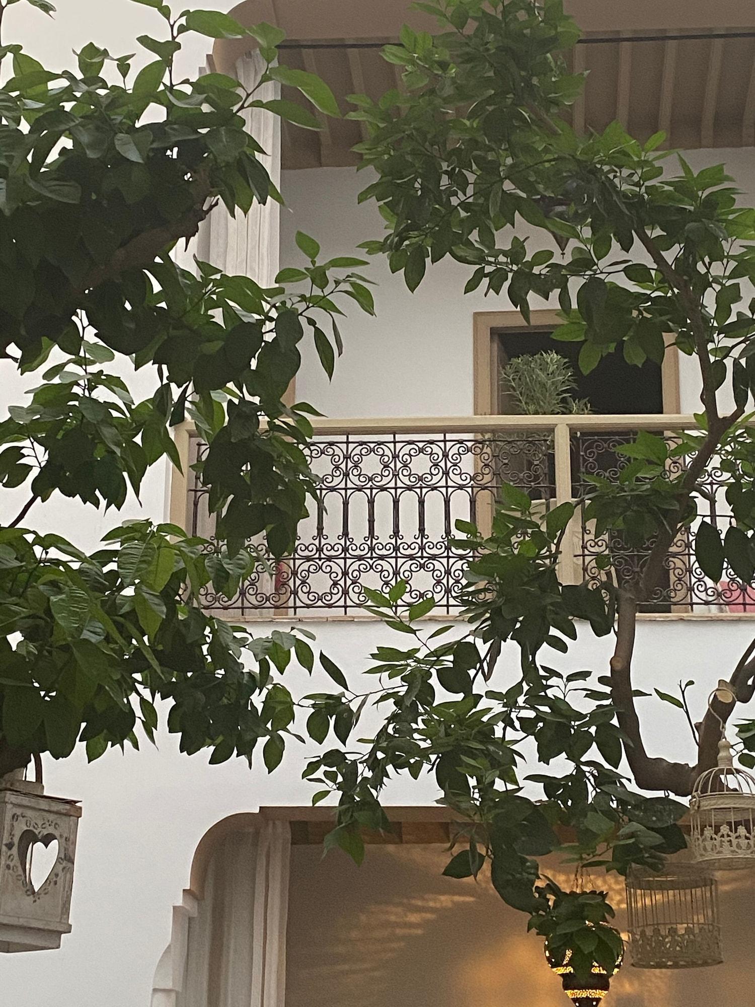 Riad Les Orangers D'Alilia Marrákes Kültér fotó