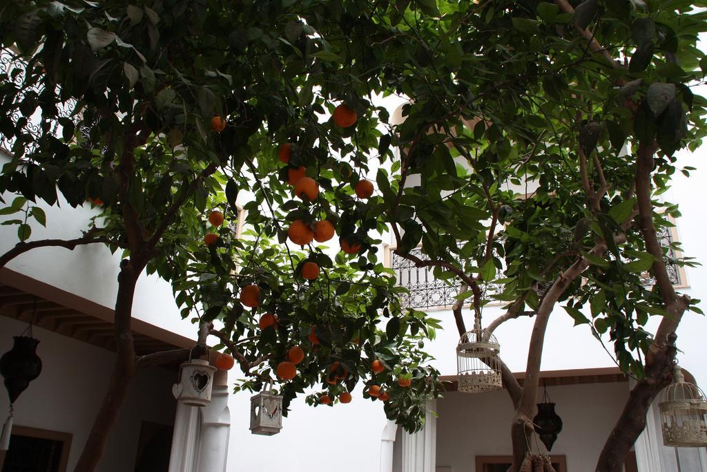 Riad Les Orangers D'Alilia Marrákes Kültér fotó