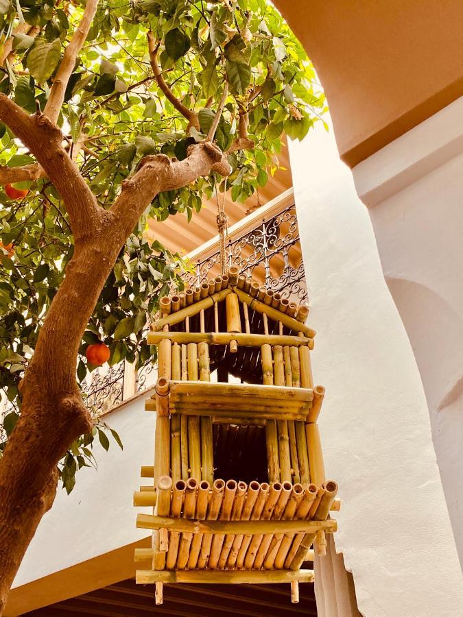 Riad Les Orangers D'Alilia Marrákes Kültér fotó